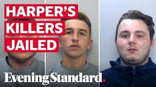 Pc Andrew Harper's teen killers jailed for total of 42 years on manslaughter charges