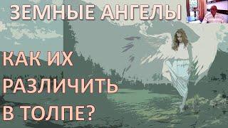 ДАВИД ШМИДТ: КТО РЕАЛЬНО ПОМОГАЕТ УСТАНОВИТЬ МИР И ГАРМОНИЮ НА ЗЕМЛЕ