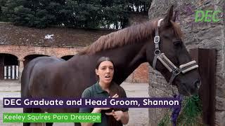 A day in the life of a Head Groom - Doncaster Equine College Graduate Shannon