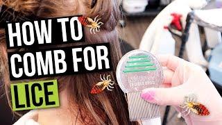 How to do a Wet Comb Out for Lice Removal!