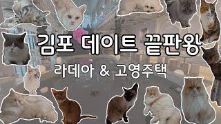 김포 데이트 코스 고민이세요 ? 이렇게만 가보세요! (고영주택 & 라데아)