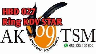 HBD KDV STAR indukan AK 69 TSM