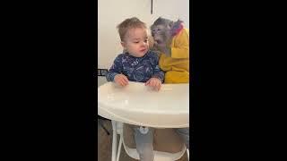 Реакция ребёнка и обезьянки на еду . Домашняя обезьянка