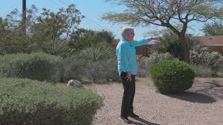 Yucca Valley - 2020 Desert-Wise Landscape Tour