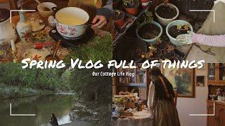 Spring Vlog Full of Things | Cozy and Slow life |  🪴 