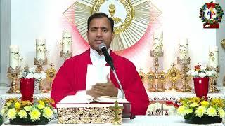 What can we learn from St Stephen? - Fr Joseph Edattu VC