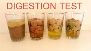 Digestion test - cold pressed dog food vs. 3 mainstream brands (extrusion technology )