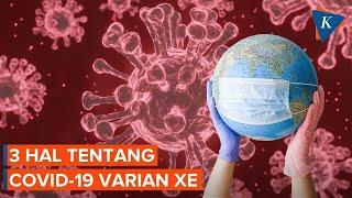 3 Hal yang Sudah Diketahui tentang Virus Corona Varian XE