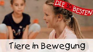  Tiere in Bewegung - Yoga Bewegungslieder für Kinder || Kinderlieder