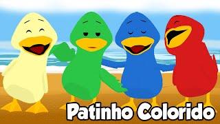 O PATINHO COLORIDO - MÚSICA INFANTIL