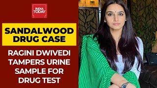 Sandalwood Drug Case: Ragini Dwivedi Tampers Urine Sample For Drug Test, Mixes Water In The Sample