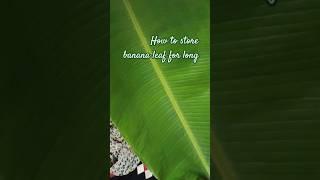 how to store banana leaf for 7 days #shortsfeed #shortsvideo