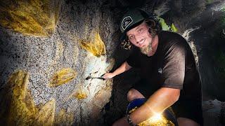 Mining Gold in the Forbidden Cave - An Adventurous Expedition