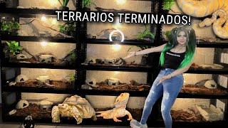 TOUR DE LOS TERRARIOS DE MIS REPTILES!