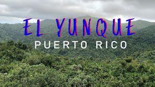 EL YUNQUE NATIONAL FOREST | Hiking Trails and Historical Sites