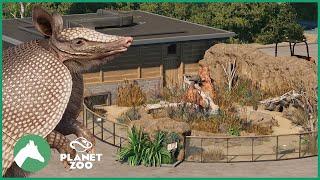 Armadillo Habitat | Elm Hill City Zoo | Planet Zoo