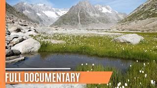 The Shrinking Aletsch and the Battle for Alpine Wildlife | FULL DOCUMENTARY