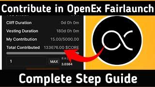 How to Contribute in OpenEx Fairlaunch || Complete Step Guide #openex #oex