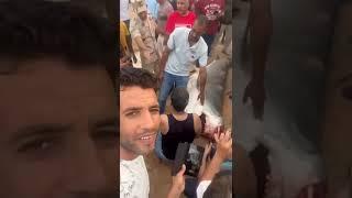 Хургадскую акулу поймали