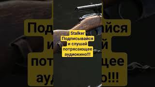 аудиокнига сталкер, подпишись и слушай. #сталкер #stalker #аудиокнига #книга #потерянный #сектор