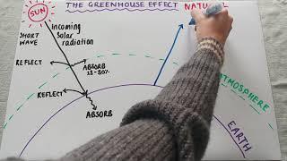 The greenhouse effect