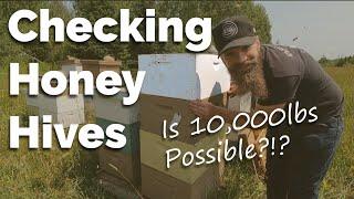 The Most Honey Of All Time (For Us) | Checking Honey Hives And Adding Boxes