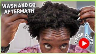 How to Detangle 4C Hair | Wash Day Tips & Tricks
