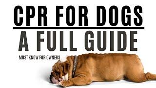 CPR for Dogs - An Essential Skill for ALL owners