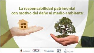 La responsabilidad patrimonial con motivo del daño al medio ambiente.