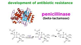 Methicillin-Resistant Staphylococcus aureus (MRSA)