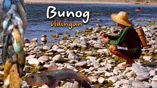 catch and cook BUNOG fish in the river |life in the Philippines Countryside Episode 5