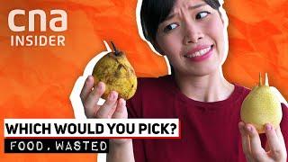 Why Are We Throwing Away Perfectly Edible Food? | Food, Wasted 1/3