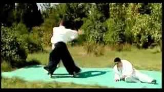 Aikido Armenia.SENSEI ARMEN AVETISYAN.flv