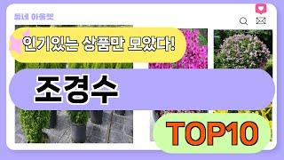 요즘 인기 많은 조경수 추천 TOP10 (가격,평점,비교)