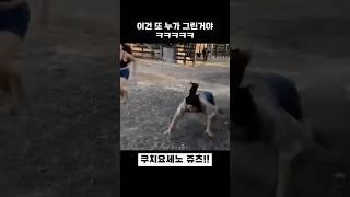 이건 또 누가 그린거야ㅋㅋㅋ