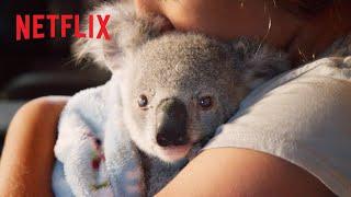 Cutest Koala Moments  Izzy's Koala World | Netflix Jr