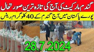 New Gundam rate today in Punjab Pakistan 2024 || Wheat rates