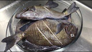 The Best steamed  Fish you will EVER! make (Dr Fish) ASMR no Talking No music #cooking #Healthy