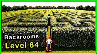 Backrooms Level 84  |  The Shifting Hedge Maze  | Trap Level