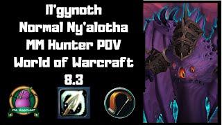 Il'gynoth, Corruption Reborn | Normal Ny'alotha | MM Hunter POV | Unerring Vision 8.3