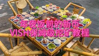 2023年新币VISH挖矿教程，新手挖矿必看教程，我敢说是全网最详细中文挖矿教程，建议仔细观看