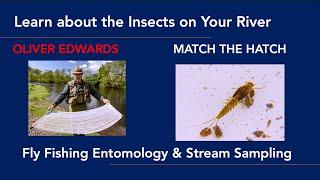 Oliver Edwards  - An Intro to Entomology & Stream Sampling