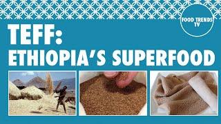 Teff: Ethiopia’s Superfood - Food Trends TV