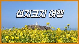 유채꽃이 만개한 봄날, 섭지코지 여행 즐기기 | 마녀2 촬영지 포함 | 제주 여행 브이로그 | VLOG | 홍준서 Official