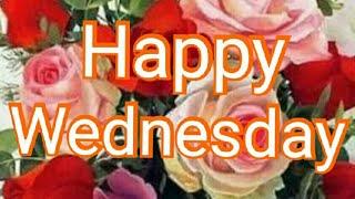 Good morning Wednesday images, best good morning images, & beautiful flowers images