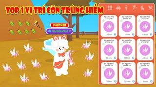 (Play Together) Địa Điểm Này Xuất Hiện Rất Nhiều Côn Trùng Hiếm Nhưng Ít Ai Biết