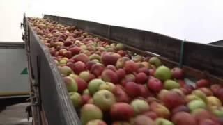 Belarus - Paradise of Smugglers | Journal