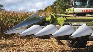 Corn Harvest