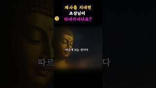 제사ㅣ삶과 죽음 #부처님말씀 #석가모니 #마음공부 #불교명상 #좋은글