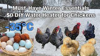 Winter Organic Poultry Care Essentials: Helping Chickens SURVIVING the Cold & Making Tasty Meal